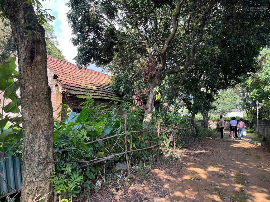 Mảnh đất view núi ba vì, mặt giáp đập vống với làn nước xanh mướt quanh năm minh quang, ba vì, hn