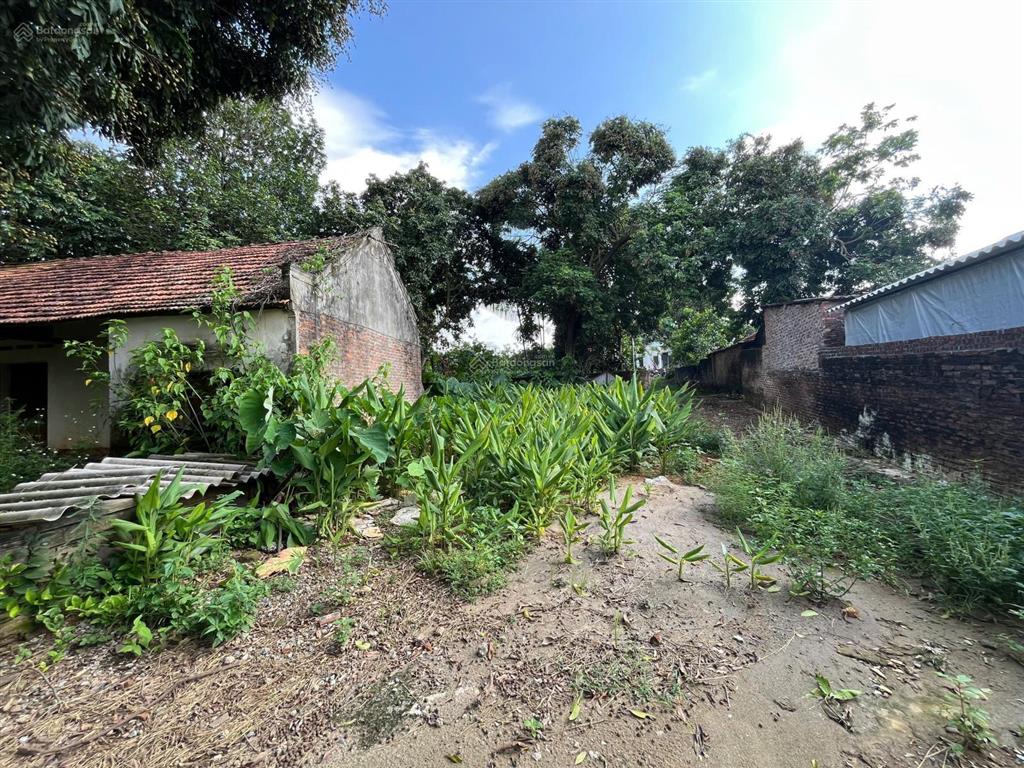 Mảnh đất view núi ba vì, mặt giáp đập vống với làn nước xanh mướt quanh năm minh quang, ba vì, hn