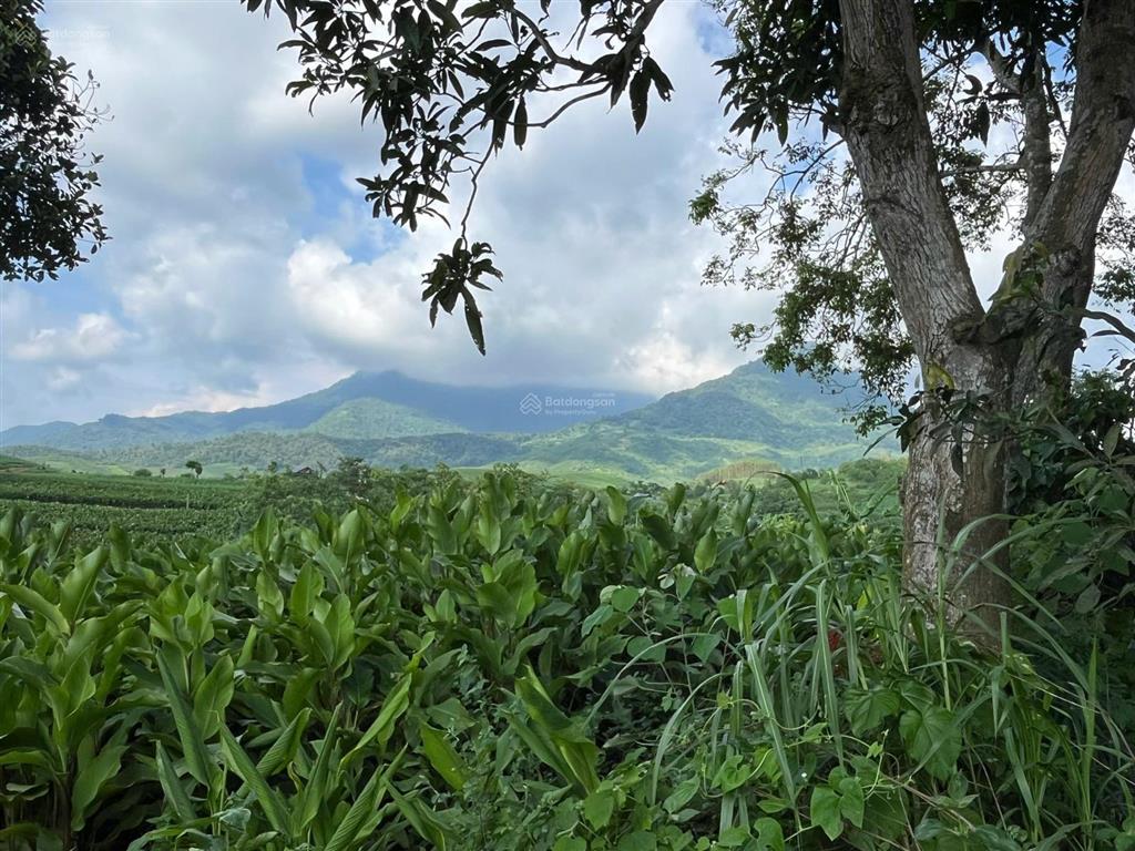 Mảnh đất view núi ba vì, mặt giáp đập vống với làn nước xanh mướt quanh năm minh quang, ba vì, hn