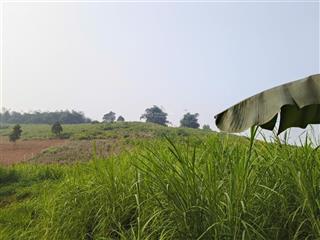 Lô đất ba vì thích hợp đầu tưxây dựng khuân viên nghỉ dưỡngthế đất thoải nhẹkhông khí trong lành