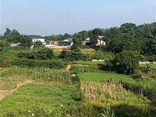 Hàng f050 sào đất giá siêu rẻ, thế đất cao, view thoáng, giao thông thuận tiện ô tô đỗ tận đất