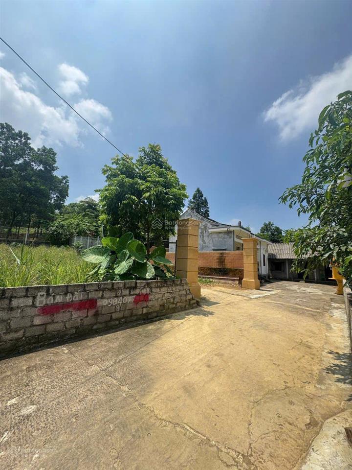 Lô đất nghỉ dưỡng 2 mặt tiền tuyệt đẹp tại ba trại, cách tl87 vài trăm mét, view núi, cạnh homestay
