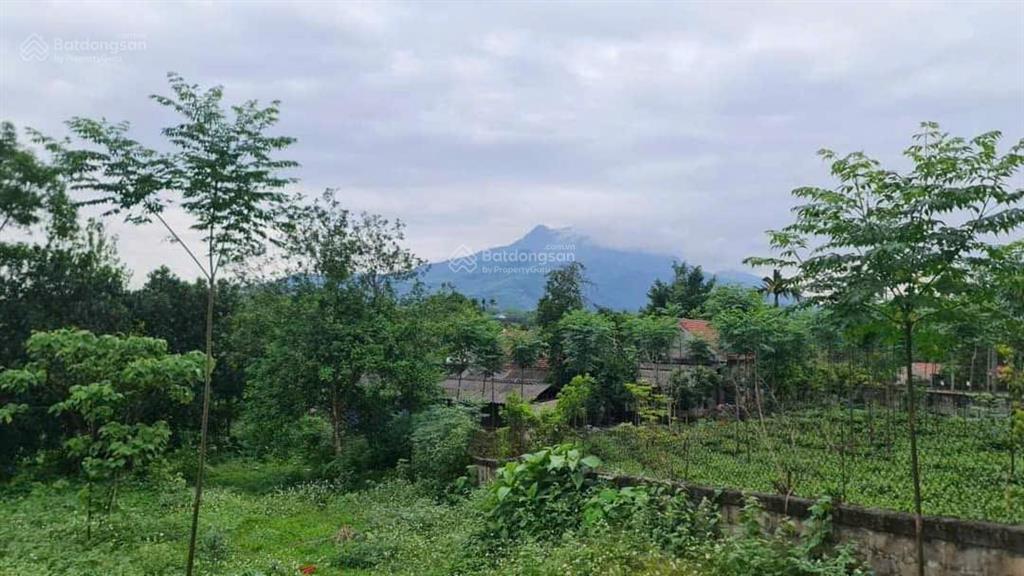 Đất ba trại vuông vắn đẹp, 10,56m mt, cách tl86 điểm bus 500m, cách chợ, ủy ban, trường học hơn 1km