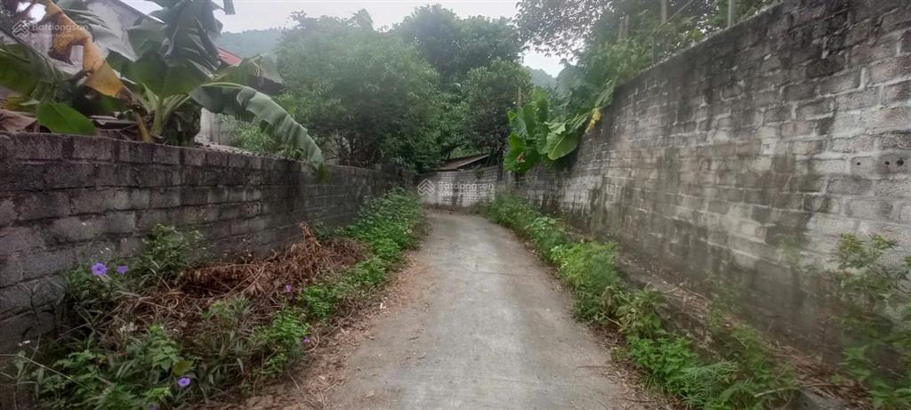 Đất tản lĩnh sẵn nhà cấp 4 gần kdl ao vua, chân núi tản viên, tiện trường, chợ thích hợp nghỉ dưỡng