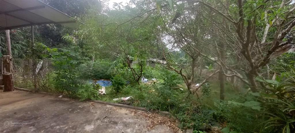 Đất tản lĩnh sẵn nhà cấp 4 gần kdl ao vua, chân núi tản viên, tiện trường, chợ thích hợp nghỉ dưỡng