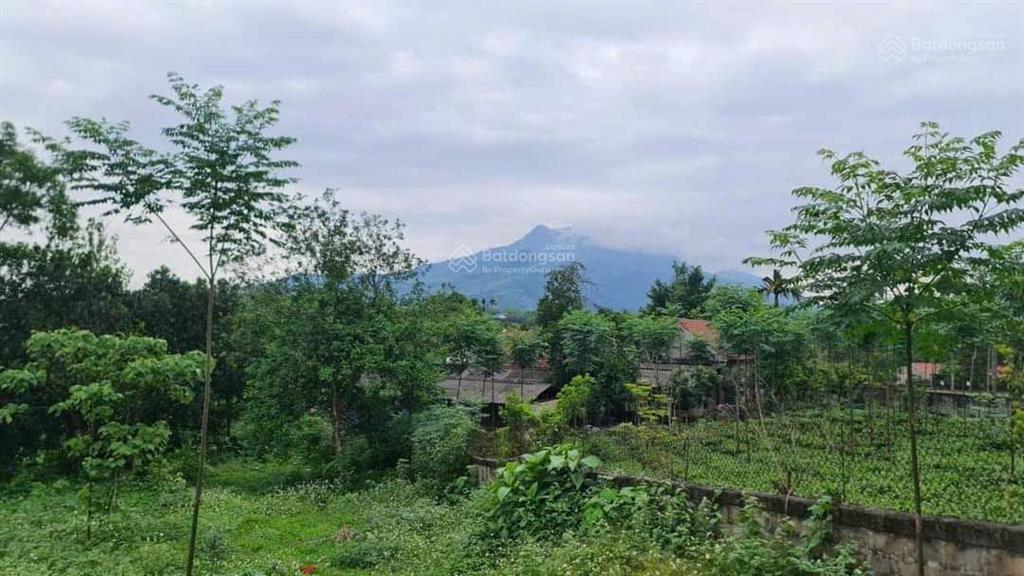 Đất nghỉ dưỡng ba trại vuông vắn, cách tl86 điểm bus tầm 500m, cách chợ, ủy ban, trường học hơn 1km