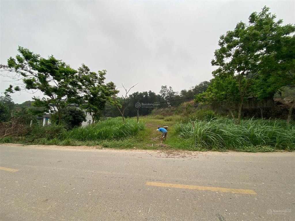 Đất mặt đường nhựa tl88, dân cư đông, gần nhiều tiện ích, phù hợp kinh doanh, xây biệt phủ