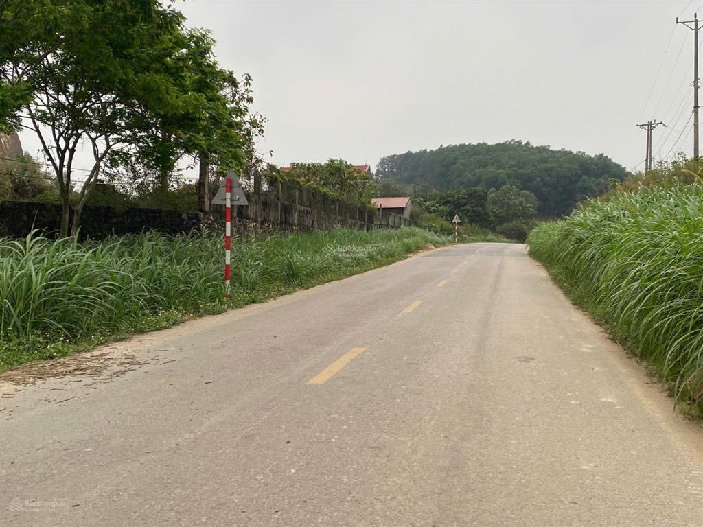 Đất mặt đường nhựa tl88, dân cư đông, gần nhiều tiện ích, phù hợp kinh doanh, xây biệt phủ