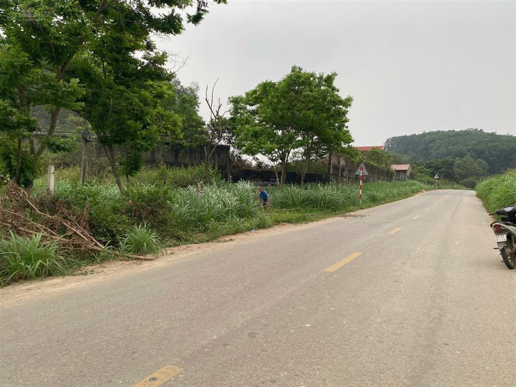 Đất mặt đường nhựa tl88, dân cư đông, gần nhiều tiện ích, phù hợp kinh doanh, xây biệt phủ