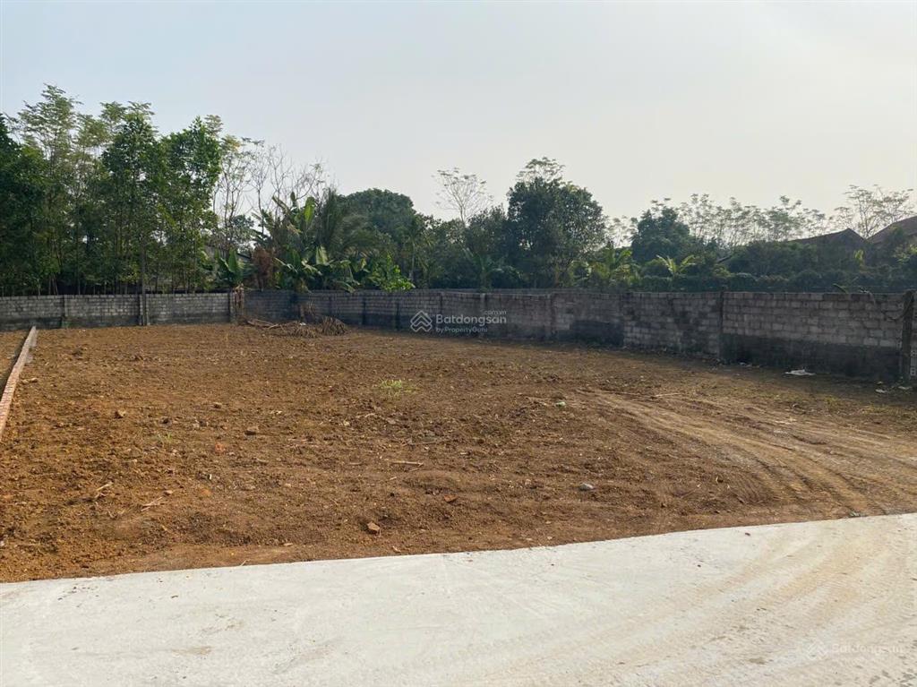 Lô đất rẻ nhất ba trại, cách tl86 chỉ 300m, dân cư đông đúc, gần trường, chợ, trạm y tế, ub xã cũ
