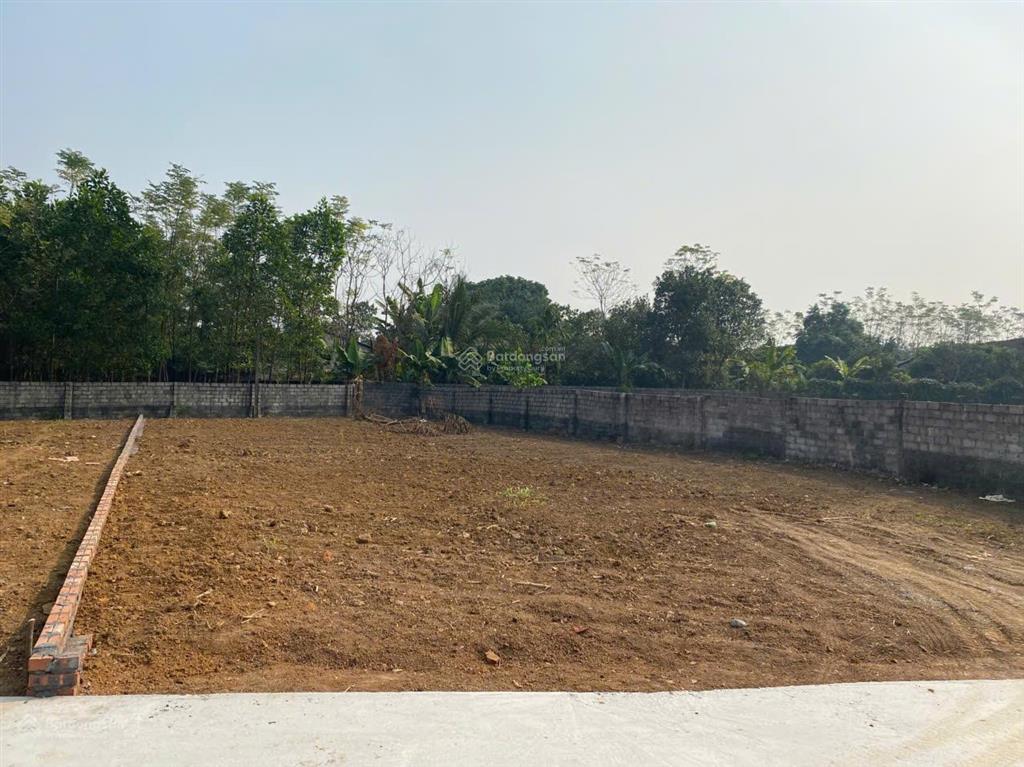 Lô đất rẻ nhất ba trại, cách tl86 chỉ 300m, dân cư đông đúc, gần trường, chợ, trạm y tế, ub xã cũ