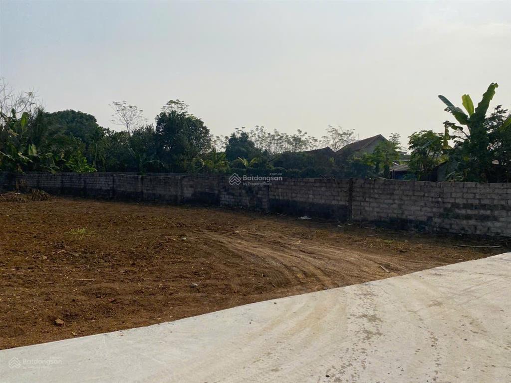 Lô đất rẻ nhất ba trại, cách tl86 chỉ 300m, dân cư đông đúc, gần trường, chợ, trạm y tế, ub xã cũ