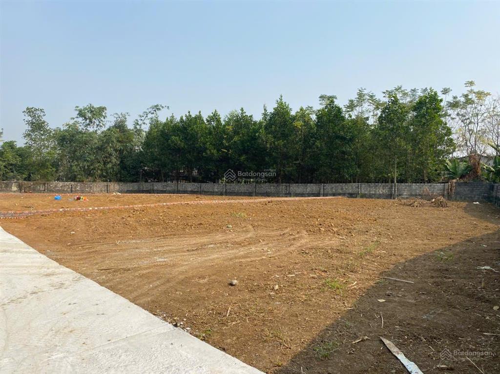 Lô đất rẻ nhất ba trại, cách tl86 chỉ 300m, dân cư đông đúc, gần trường, chợ, trạm y tế, ub xã cũ