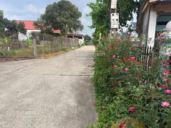 Đất đẹp ba trại có 15m mtđường thông thoáng cách tl91 chỉ 500m, dân cư đôngview núi thoáng mát mẻ