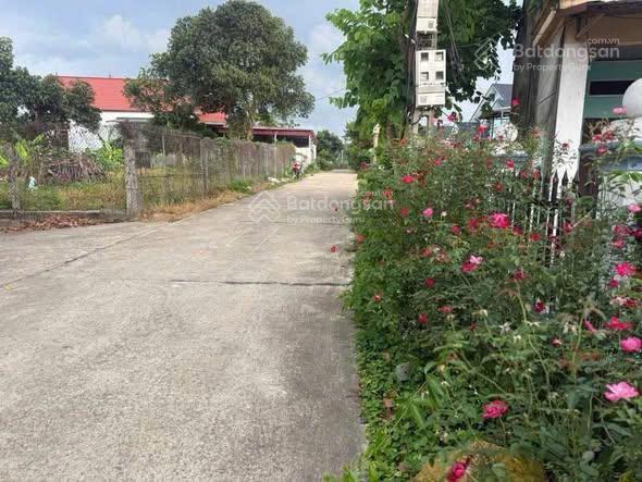 Đất đẹp ba trại có 15m mtđường thông thoáng cách tl91 chỉ 500m, dân cư đôngview núi thoáng mát mẻ