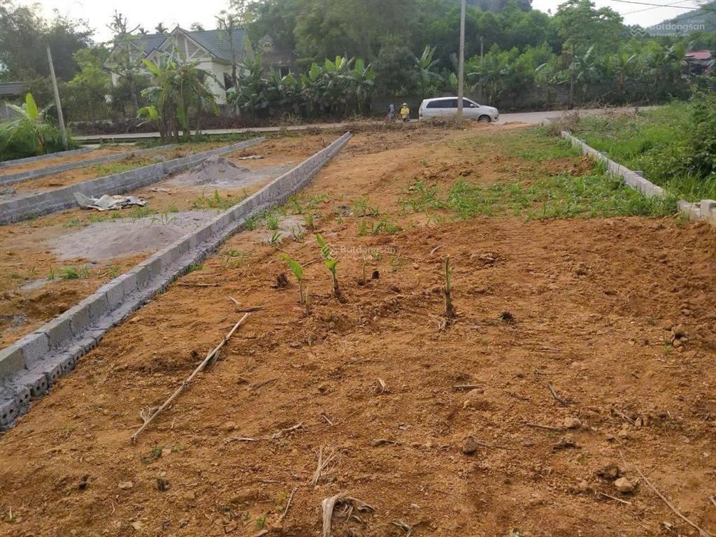 Đất đấu giámặt đường ql70b kinh doanh buôn bán sầm uất, gần chợ hương cần, ubtrường họcsiêu thị