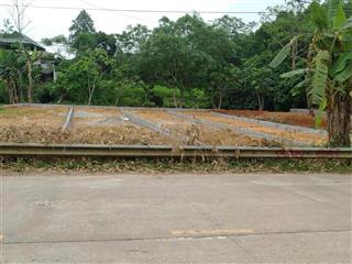 Đất đấu giámặt đường ql70b kinh doanh buôn bán sầm uất, gần chợ hương cần, ubtrường họcsiêu thị