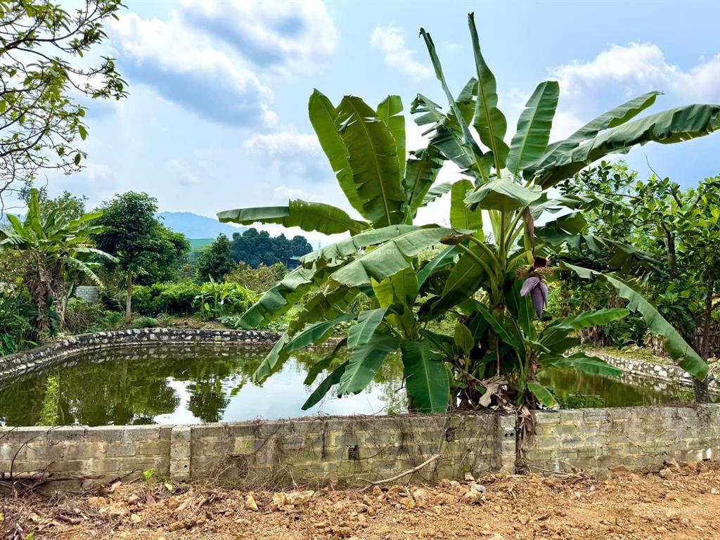 Đất nghỉ dưỡng lưng tựa vào kdl đồi gió, view ao, cánh đồng, núi tản viên, đường thông ô tô tránh