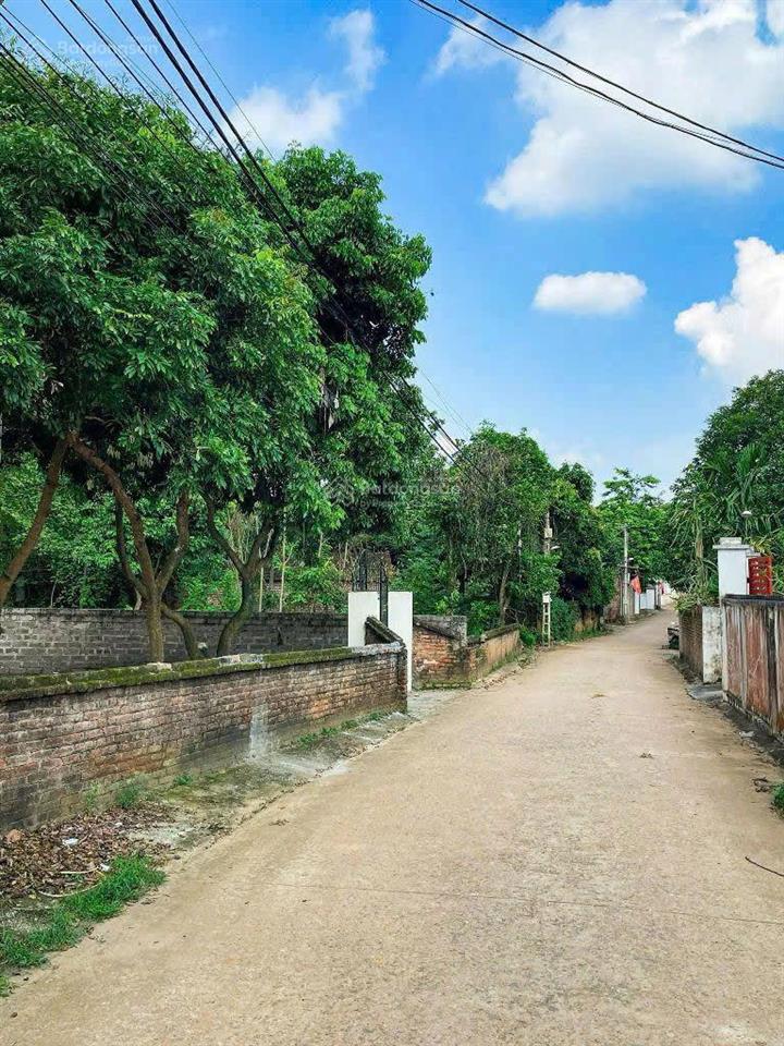 Lô đất mặt đường trục chính sẵn nhà gần trường cao đẳng, đầu tư kd buôn bán hoặc cho sinh viên thuê