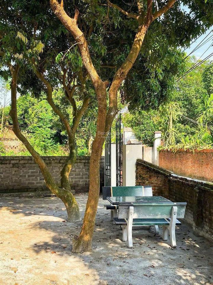Lô đất mặt đường trục chính sẵn nhà gần trường cao đẳng, đầu tư kd buôn bán hoặc cho sinh viên thuê
