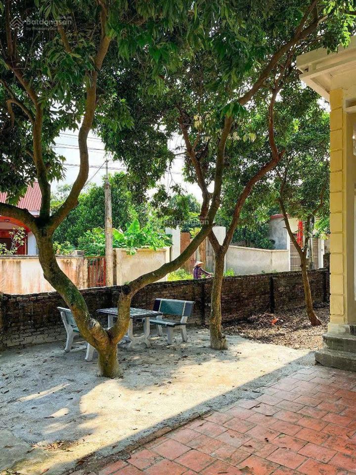 Lô đất mặt đường trục chính sẵn nhà gần trường cao đẳng, đầu tư kd buôn bán hoặc cho sinh viên thuê