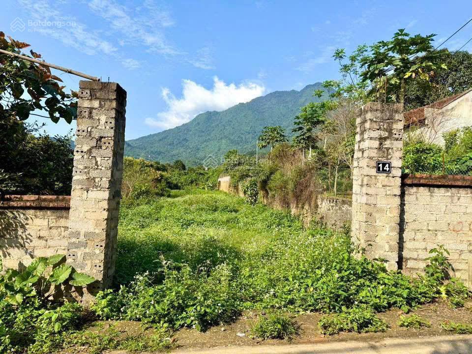 Đất nền yên bài view núi đẹp đường thông rộng, gần trục chính xã, gần chợ, hồ điều hòa, khu du lịch