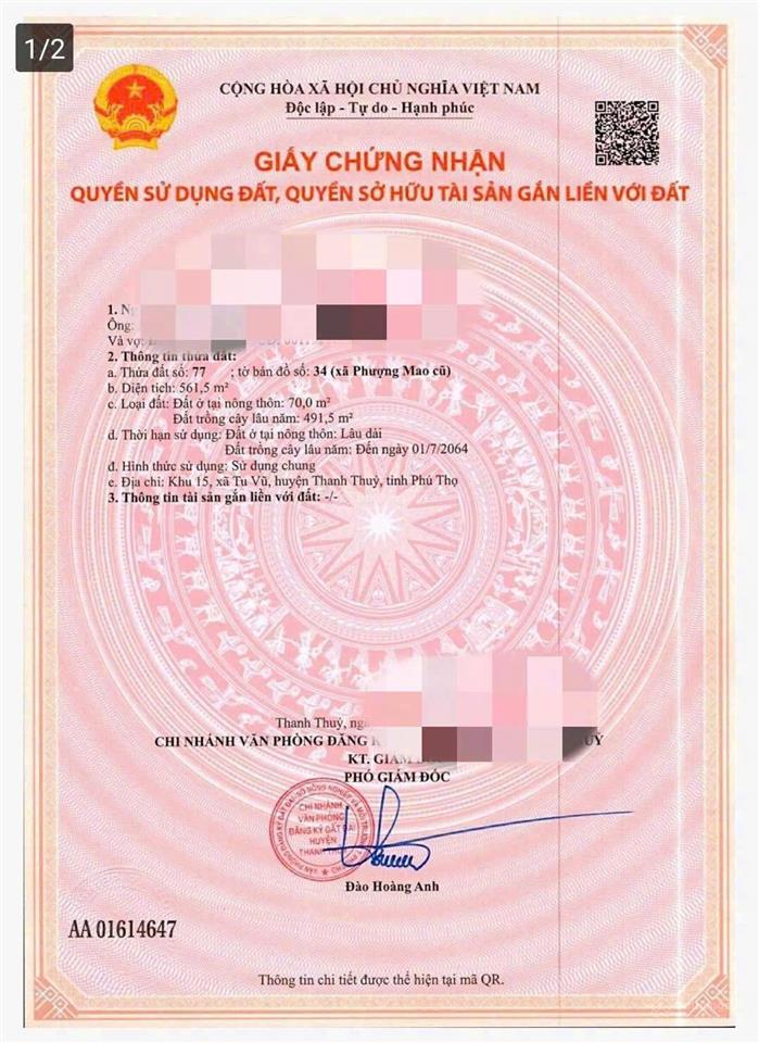 Lô đất rẻ tại thanh thủy, đường rộng 6m, vị trí đẹp gần trường, chợ, tỉnh lộ, nhà máy, vườn vua