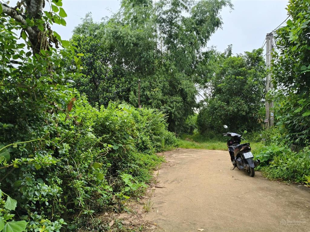 Hàng mới, đất dân f0 cắt bán bớt 17m mặt đường tại liên buhn, xung quanh nhiều villa, khu vui chơi