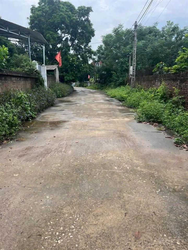 Chỉ 990tr sở hữu ngay 430m2 đất ba vì  sẵn 100m2 ont, cách đường xe bus chạy 200m, trường học 700m