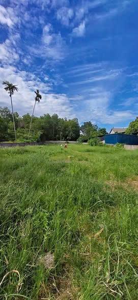 Tuyệt phẩm nghỉ dưỡng view núi xã quảng oai, đường rộng ngõ thông tứ phía, gần quy hoạch đường hcm