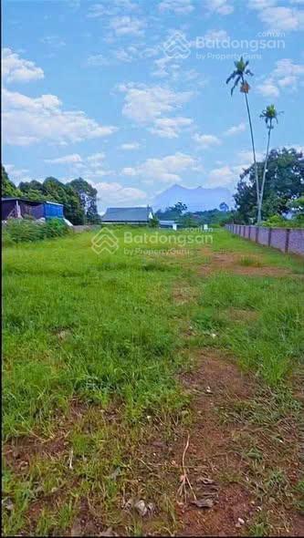 Tuyệt phẩm nghỉ dưỡng view núi xã quảng oai, đường rộng ngõ thông tứ phía, gần quy hoạch đường hcm