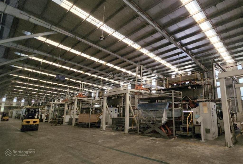 Chuyển nhượng nhà máy gỗ thanh hoá