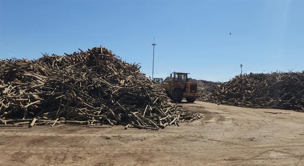 Chuyển nhượng nhà máy gỗ thanh hoá