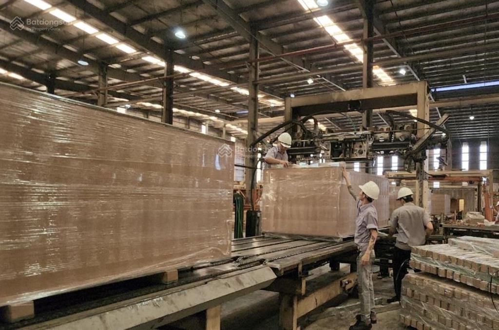 Chuyển nhượng nhà máy gỗ thanh hoá