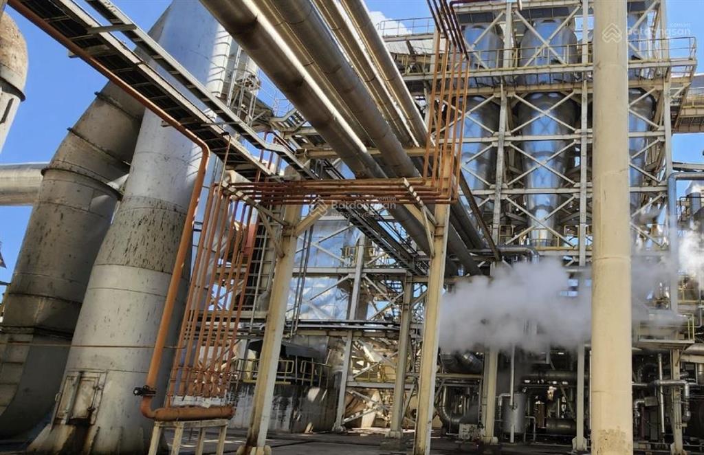 Chuyển nhượng nhà máy gỗ thanh hoá