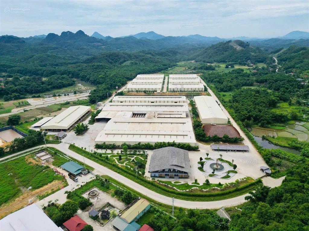 Cho thuê xưởng tại thị trấn lang chánh tỉnh thanh hoá