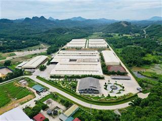 Cho thuê xưởng tại thị trấn lang chánh tỉnh thanh hoá