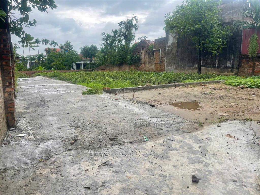 Chỉ nhỉnh 1 tỷ sở hữu lô đất sát dự án tổ hợp đô thị và sân golf trump tại châu ninh, hưng yên
