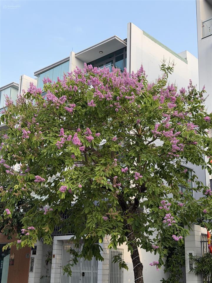 Nhà phố dương hồng garden sổ hồng riêng | không phí quản lý. giá chỉ 10,5 tỷ còn thương lượng