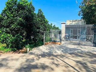 Bán ngộp vườn mít thái 238m2 thổ cư 100m2 giá rẻ 350 triệu, ngay chợ, uỷ ban, trường học, dân đông