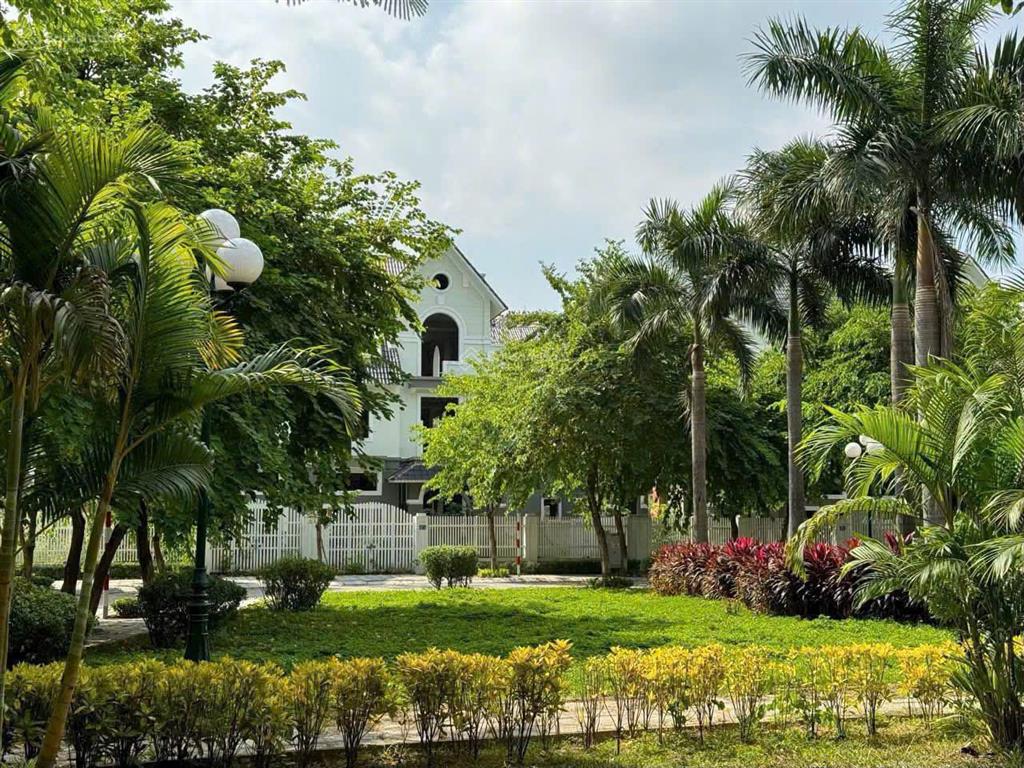 Bán gấp biệt thự 240m2, 56 tỷ tại khu b geleximco  lê trọng tấn, hà đông