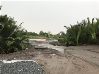 Siêu hot bán đất 1500m2 tại bà xán, bình khánh, cần giờ, hcm, giá 5,2 tỷ