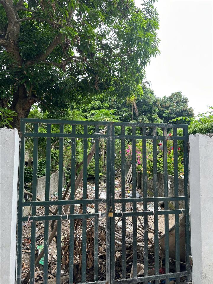 Bán đất khu phân lô đống hương, hải phòng