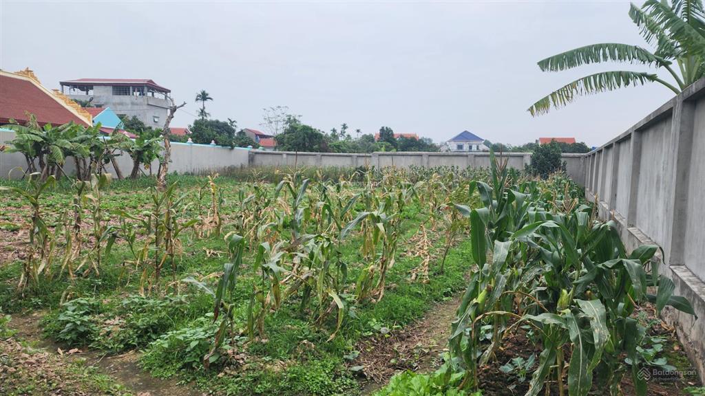 Bán đất phường đào viên, quế võ, bắc ninh