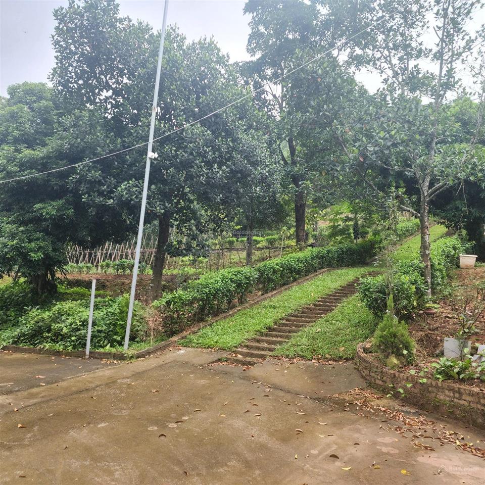 Bán 1180m2 đất phù lãng, bắc ninh
