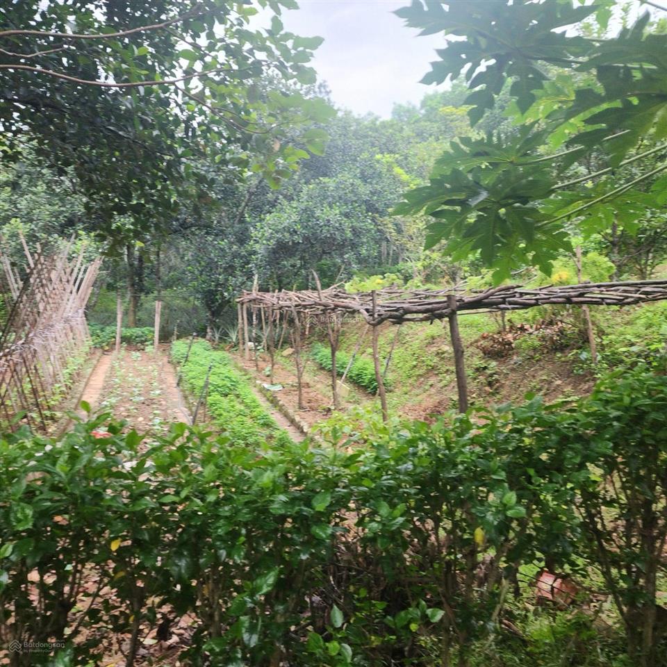 Bán 1180m2 đất phù lãng, bắc ninh