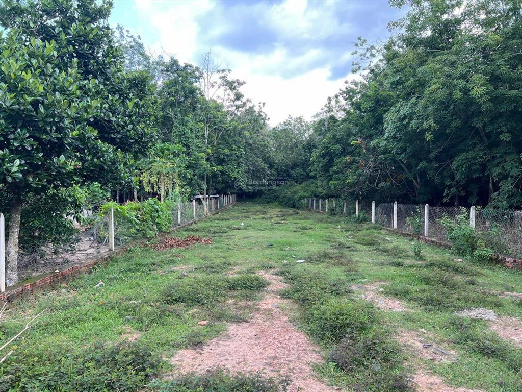 Cần bán lô đất đường võ thị bàng, 4,05 tỷ, 1009,4m2, hàng hiếm ở củ chi