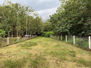 Cần bán lô đất đường võ thị bàng, 4,05 tỷ, 1009,4m2, hàng hiếm ở củ chi