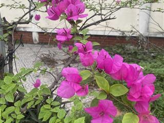 Chỉ 800k/b cho 1 phòng full đồ tủ lanh