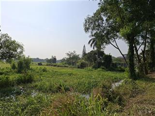 Chính chủ bán đất trồng cây lâu năm diện tích 4.181,7 m2 ở phú hòa đông, đường cầu cá lăng giá rẻ